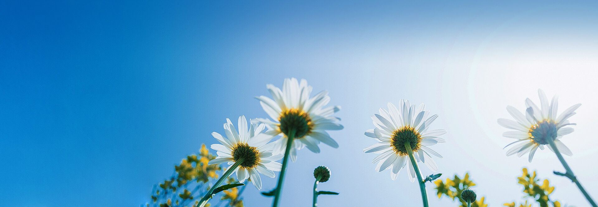 必赢亚赢网站官网