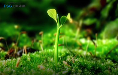 必赢亚赢网站官网