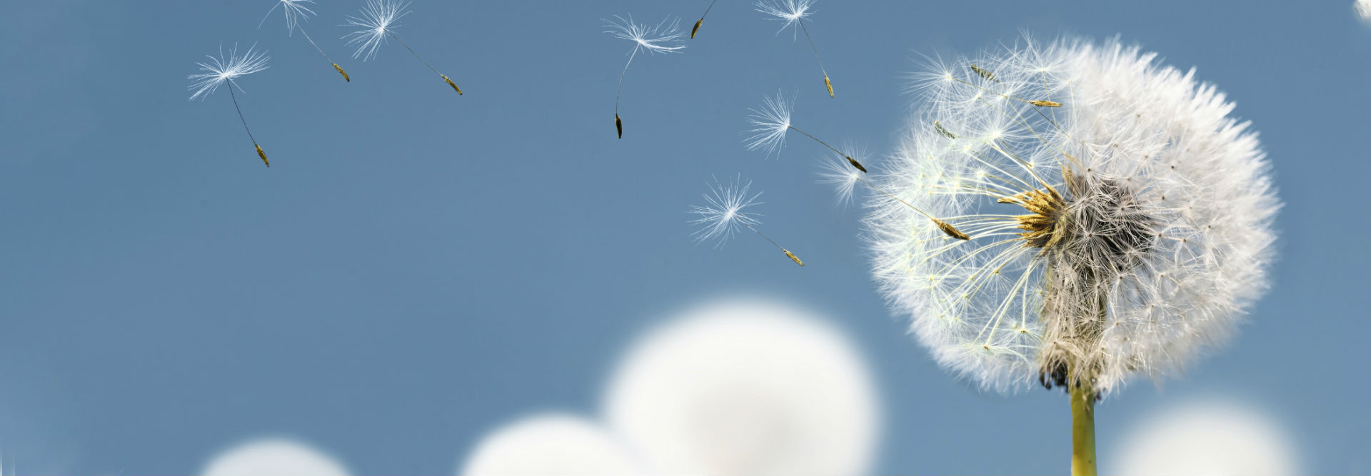 必赢亚赢网站官网