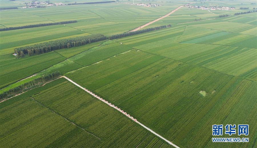 (在习近平新时代中国特色社会主义思想指引下——新时代新作为新篇章·习近平总书记关切事·图文互动)(2)为黑土加“油”——“耕地中的大熊猫”,我们这样保护 (在习近平新时代中国特色社会主义思想指引下——新时代新作为新篇章·习近平总书记关切事·图文互动)(2)为黑土加“油”——“耕地中的大熊猫”,我们这样保护