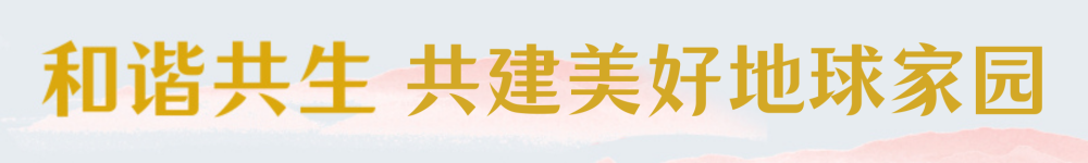 必赢亚赢网站官网