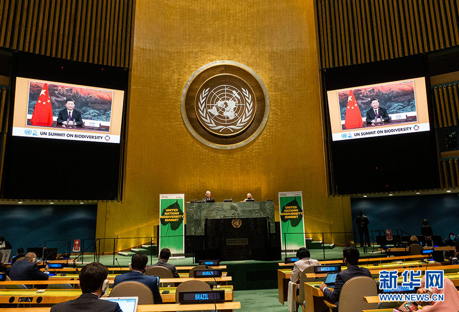 必赢亚赢网站官网