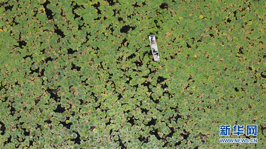 (新华全媒头条·图文互动)(3)长淮新“斗水”记——写在新中国治淮70年之时 (新华全媒头条·图文互动)(3)长淮新“斗水”记——写在新中国治淮70年之时