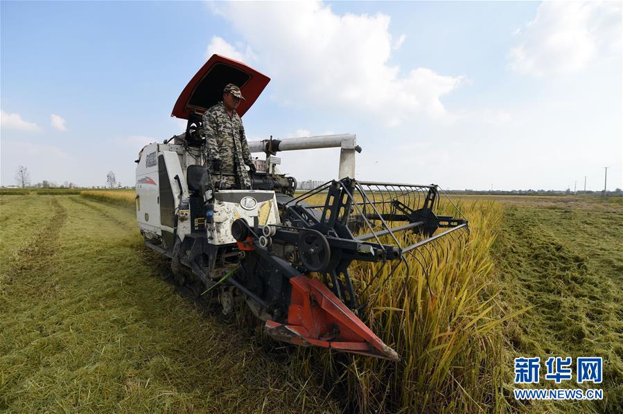 (新华全媒头条·图文互动)(7)长淮新“斗水”记——写在新中国治淮70年之时 (新华全媒头条·图文互动)(7)长淮新“斗水”记——写在新中国治淮70年之时