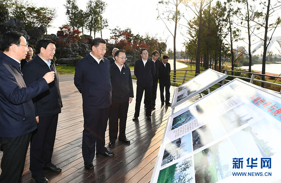 必赢亚赢网站官网