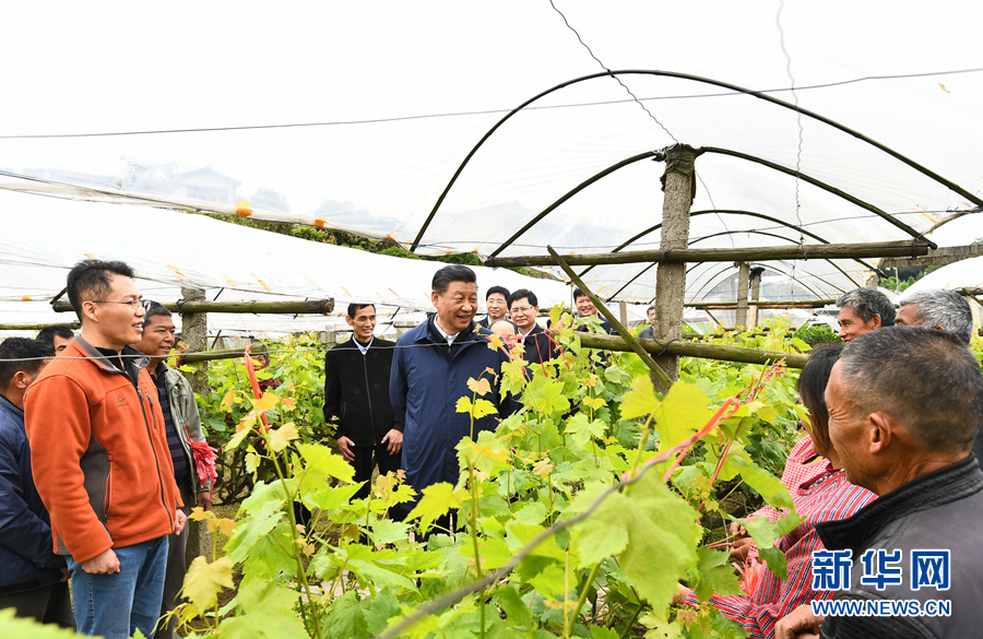 必赢亚赢网站官网