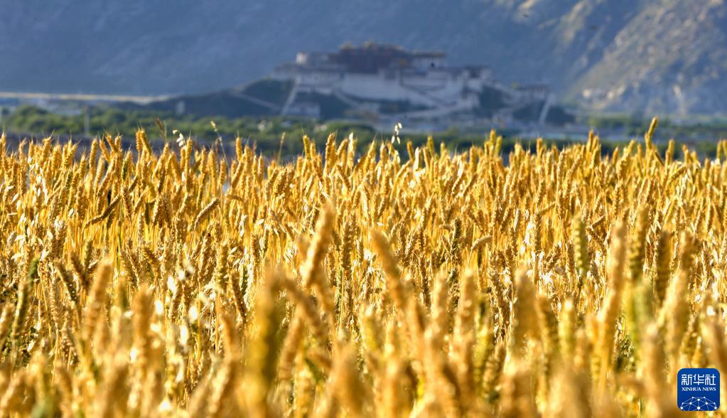 必赢亚赢网站官网