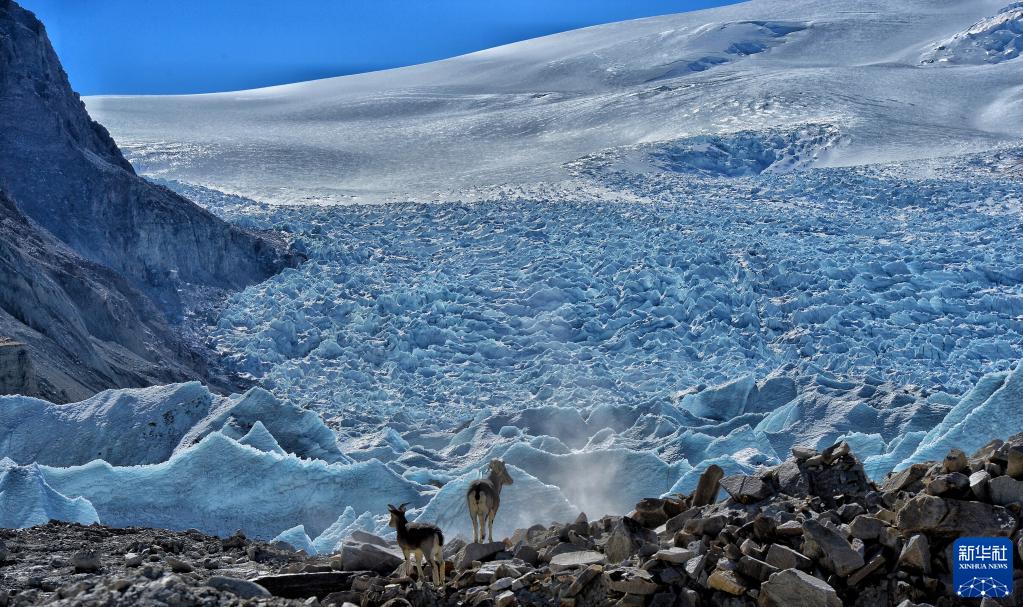 必赢亚赢网站官网