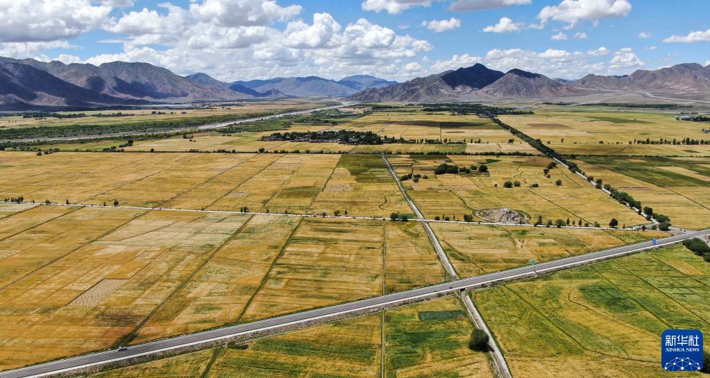 必赢亚赢网站官网