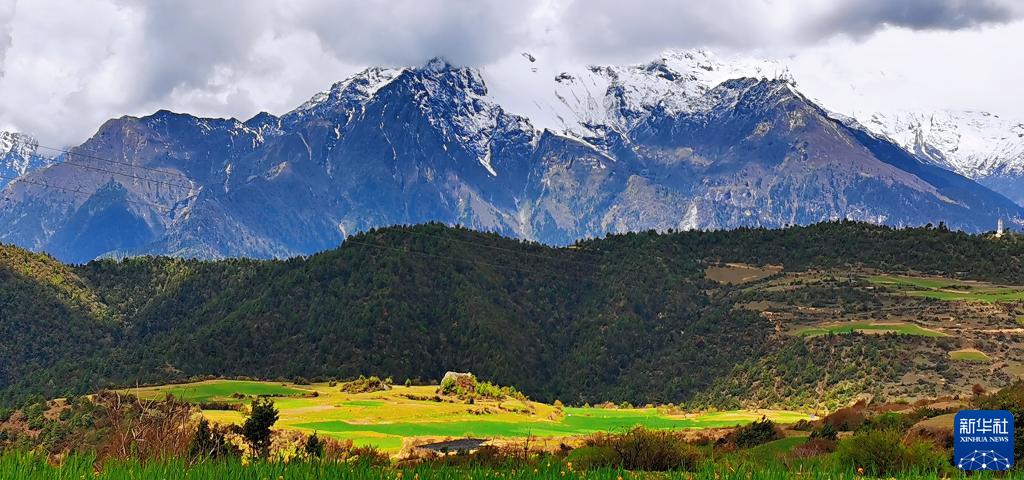 必赢亚赢网站官网