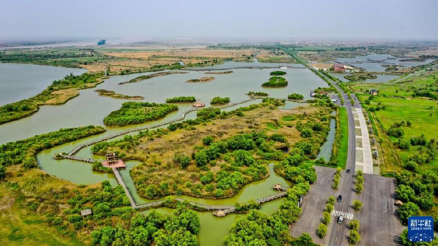 必赢亚赢网站官网