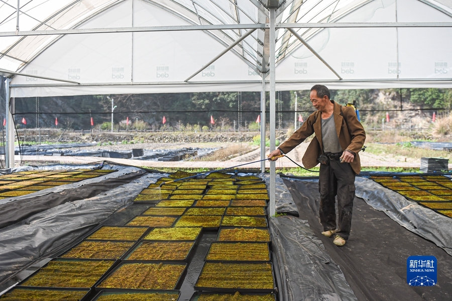 必赢亚赢网站官网