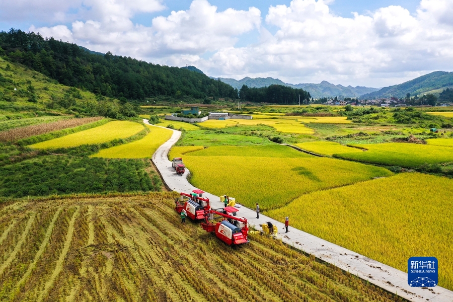 必赢亚赢网站官网