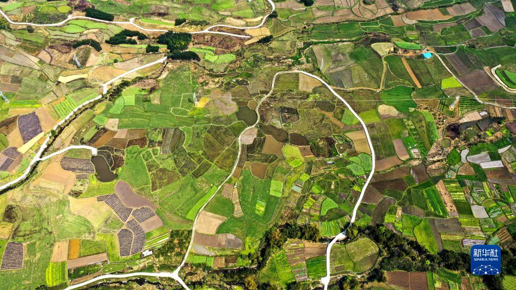 必赢亚赢网站官网