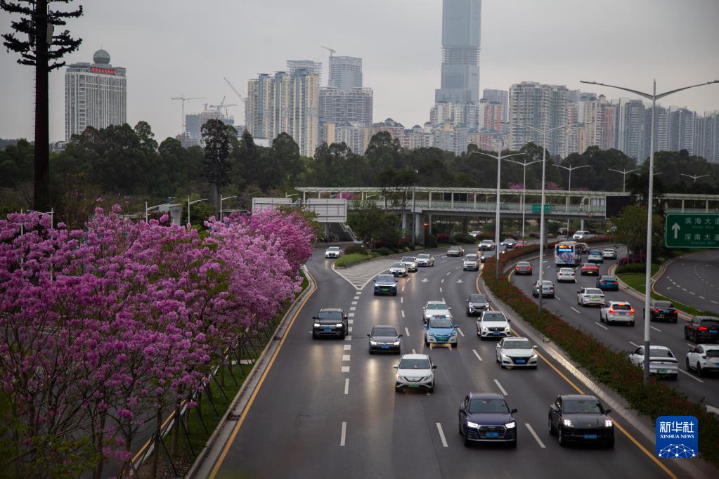 必赢亚赢网站官网